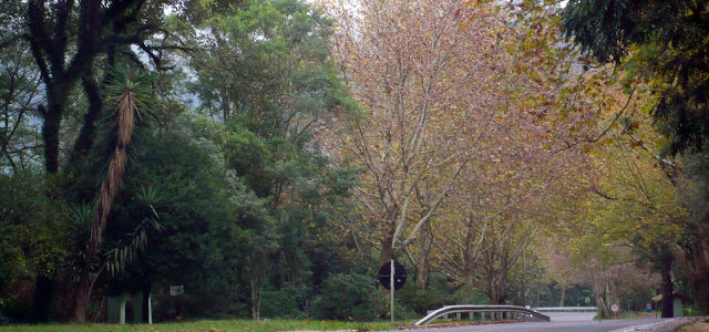 Parque Caracol em Canela