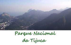 tijuca