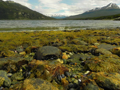 Parque Nacional Terra do Fogo em Ushuaia