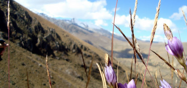 Laguna Churup, Huaraz, Peru