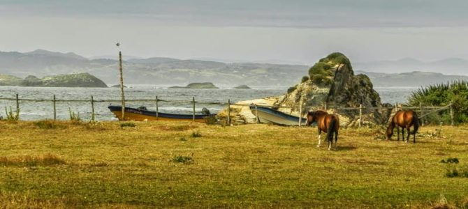 Ilha de Chiloé a Puerto Varas