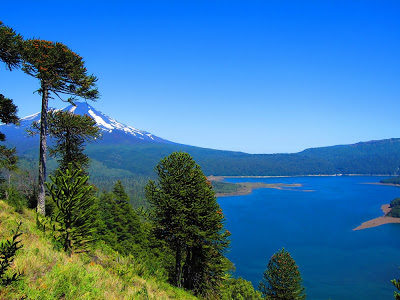 Parque Nacional Conguillio