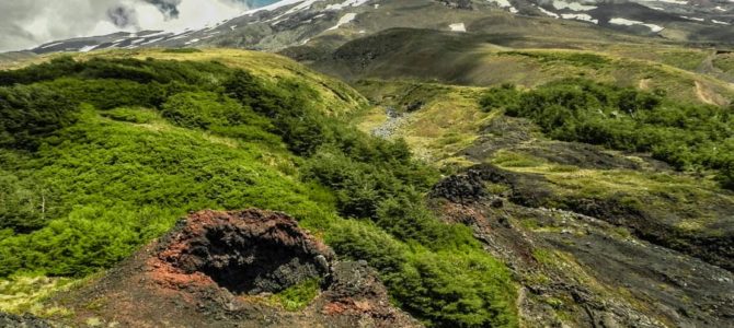 Dia 18 – Parque Nacional Villarrica – Cuevas Vulcânicas