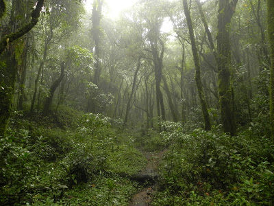 Monte Verde – Minas Gerais