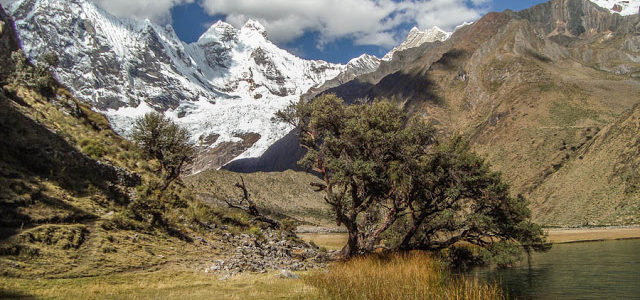 Laguna Solterococha, Trekking Huayhuash dia 9