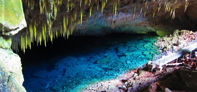 Bonito – Aquário Natural e Gruta do Lago Azul