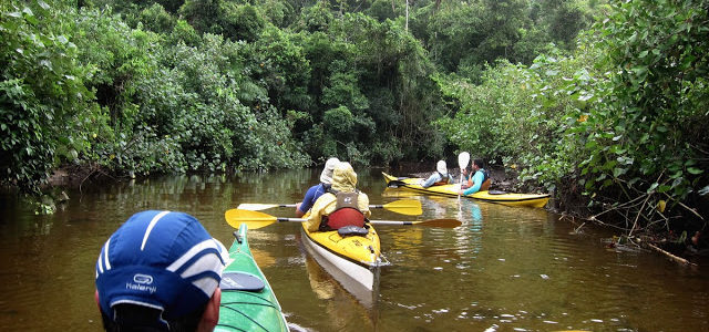 Segundo dia da travessia do Saco do Mamanguá (caiaque)