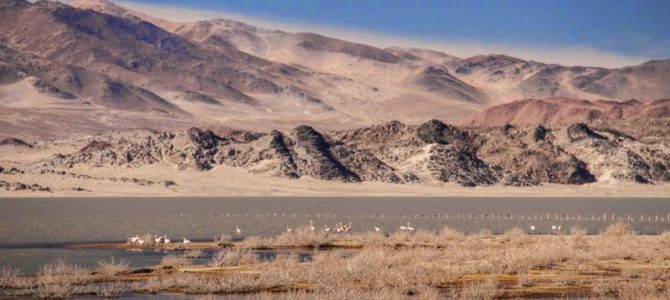 Laguna Blanca e Ruínas Shincal – Argentina