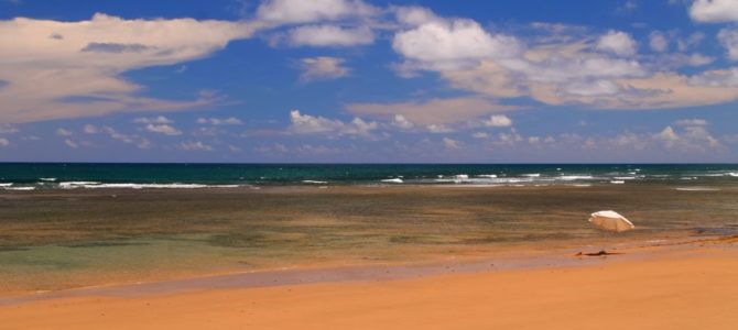 Caminhada da Praia de Algodões a Saquaíra – Brasil