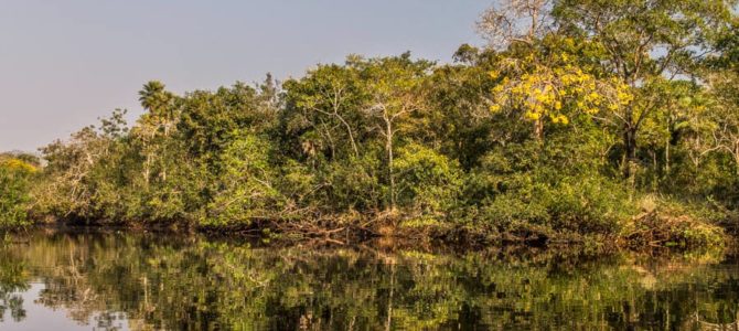 Pantanal – passeio de barco no rio Abobral e Camping em Nhecolândia, Brasil
