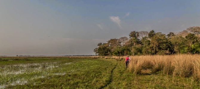 Acampamento selvagem em Nhecolândia no Pantanal, Brasil