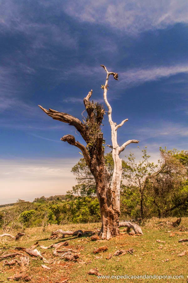 Trilha para a Cachoeira dos Quatis