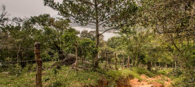 Florianópolis: Trilha Praia dos Naufragados