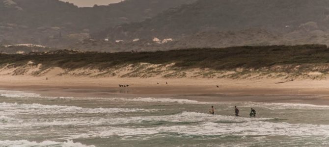 Florianópolis: Praia da Joaquina, trilha Praia Mole a Barra da Lagoa