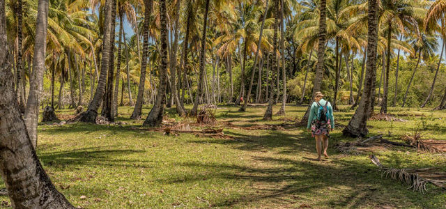 Caminhando de Boipeba até Moreré, Bahia