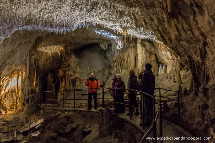 caverna postojna (11)