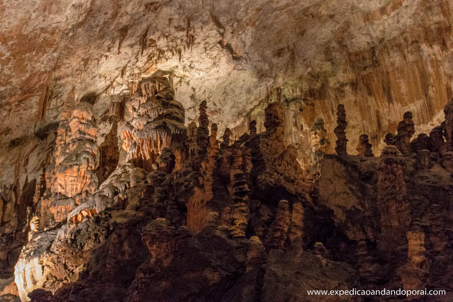 caverna postojna (5)