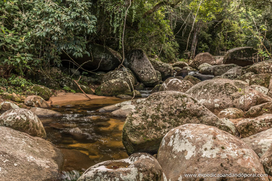 abraao parnaioca (29)