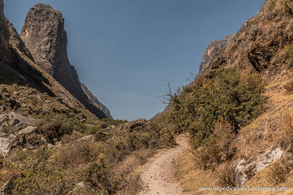 trek santa cruz (9)