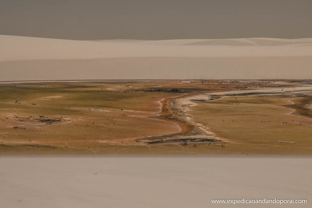 _mg_3579