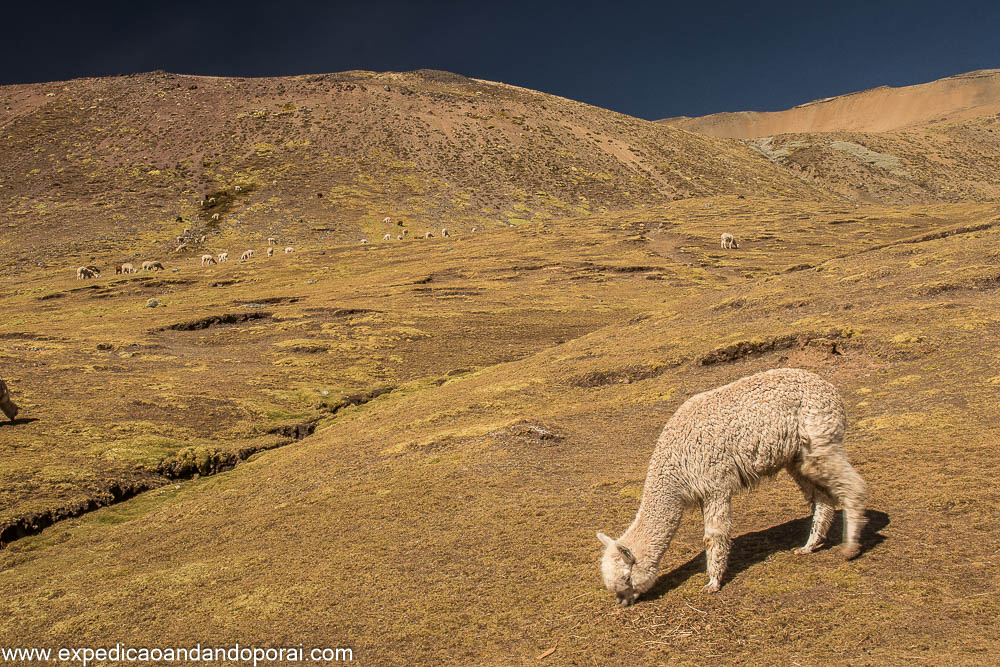 Montanhas Coloridas de Vinicunca