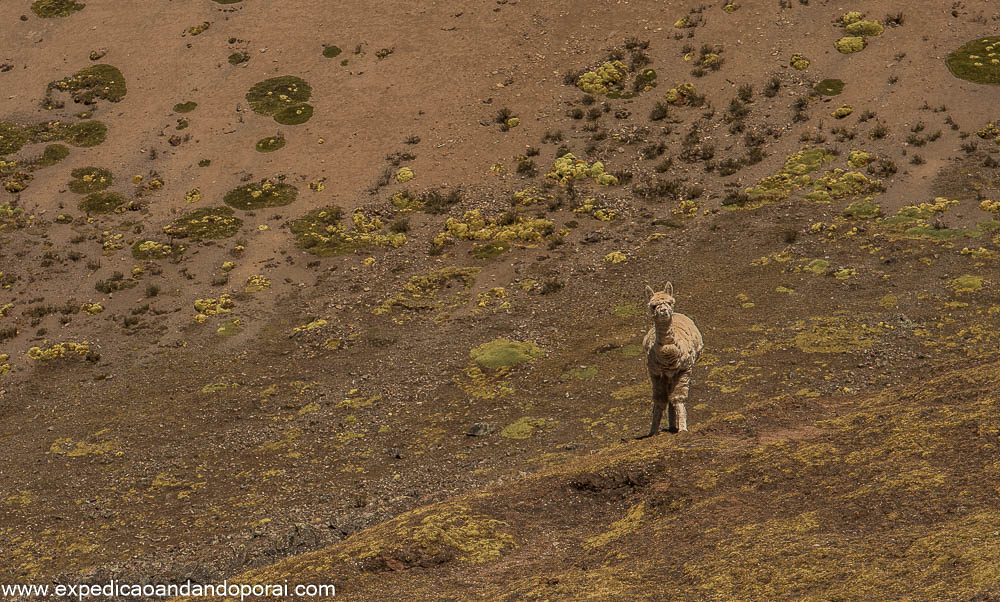 Montanhas Coloridas de Vinicunca