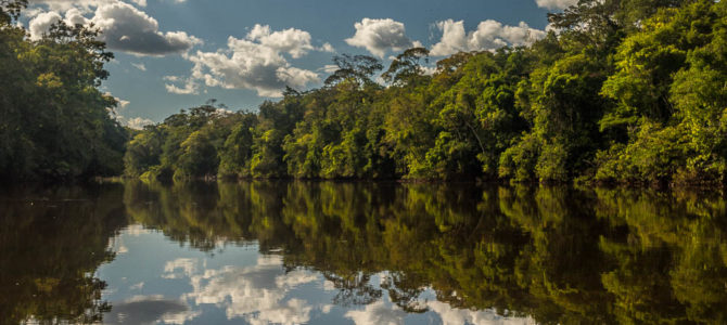 Parque Nacional Montanhas do Tumucumaque