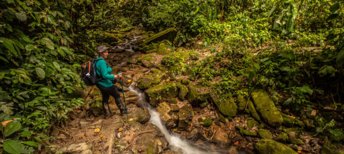Trilha do Ouro: Cachoeira do Veado a Mambucaba