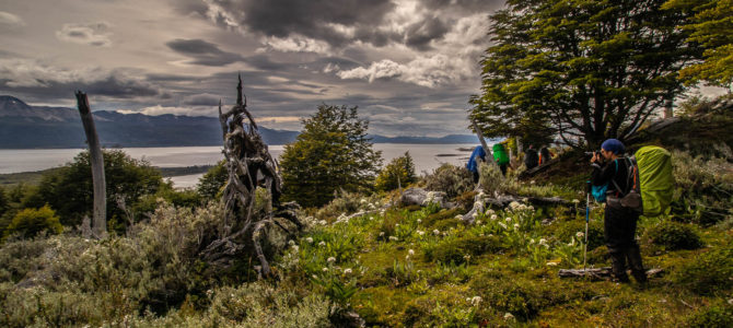 Último dia: Travessia Dientes de Navarino